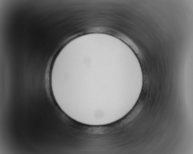 X0000087611000200705181252