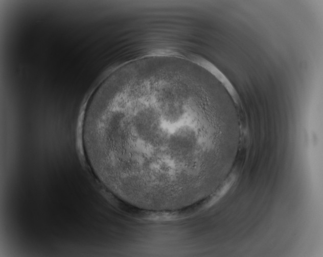 X0000087611002200705181252