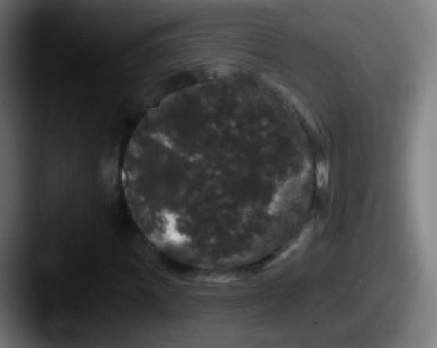 X0000087611011200705181251