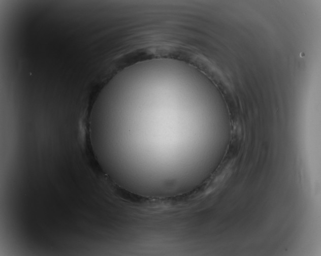 X0000087611012200705181251