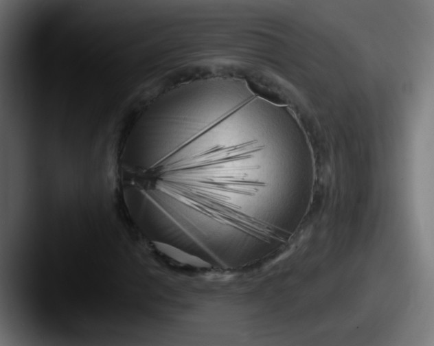 X0000087611014200705181251