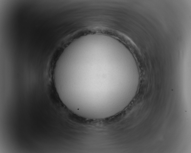 X0000087611016200705181251