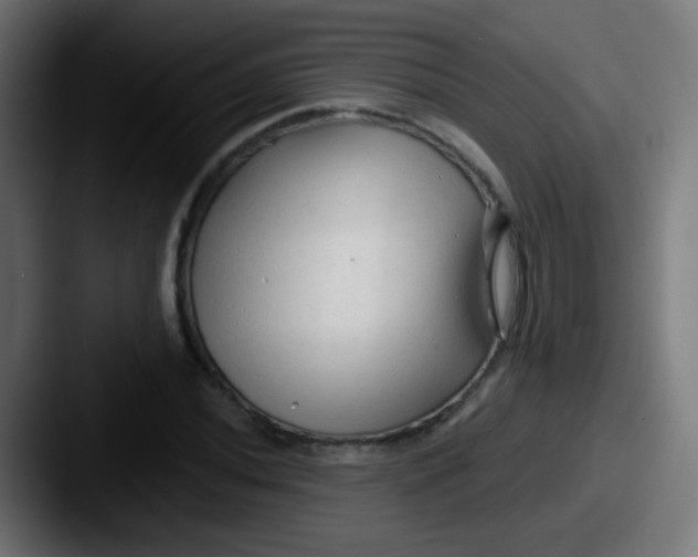 X0000087611020200705181251