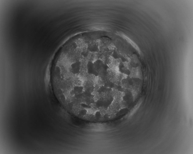 X0000087611023200705181251