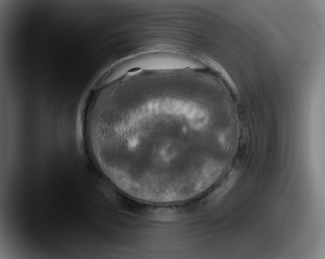 X0000087611027200705181251