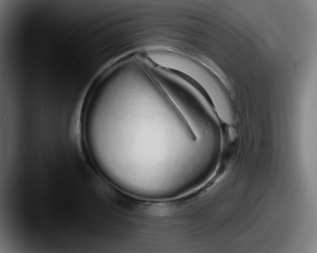 X0000087611028200705181251