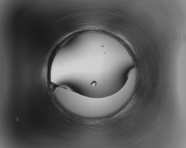 X0000087611030200705181251