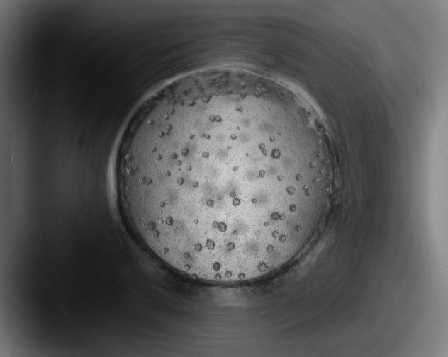 X0000087611032200705181251