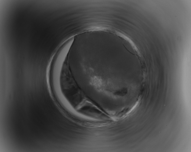 X0000087611034200705181251