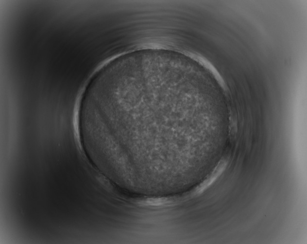 X0000087611035200705181251