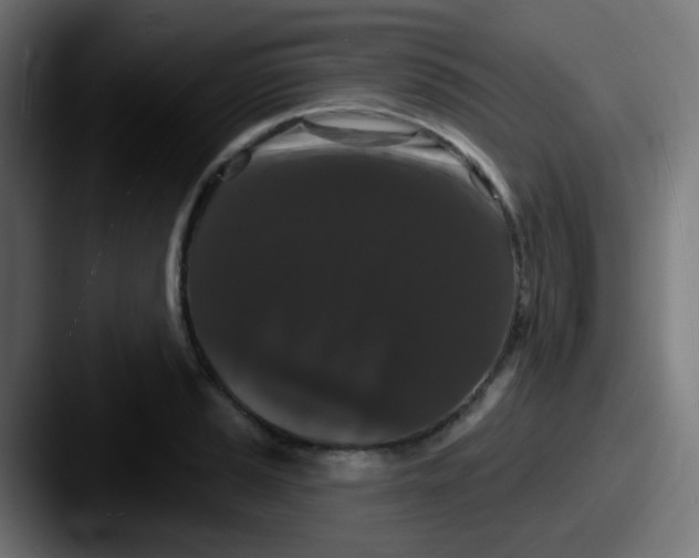 X0000087611037200705181251