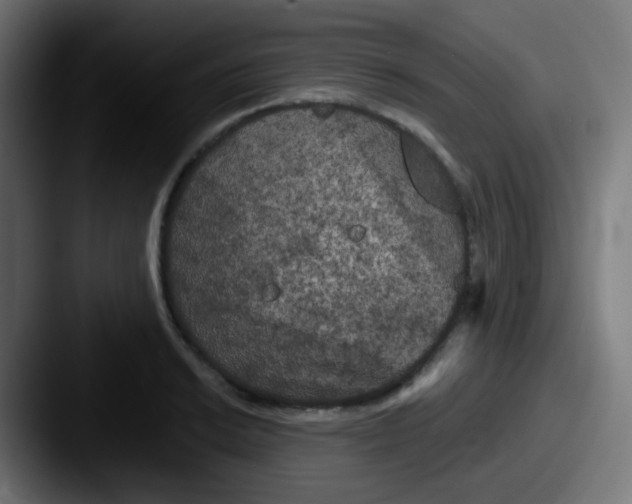 X0000087611038200705181251