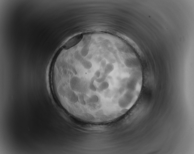 X0000087611039200705181251