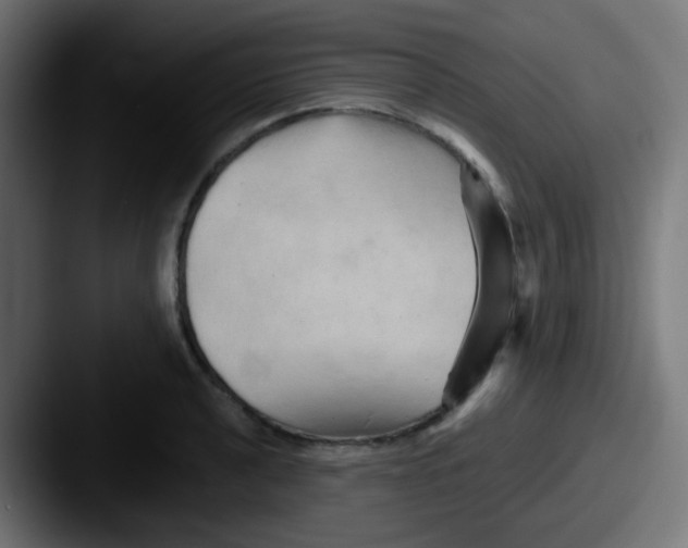 X0000087611040200705181251