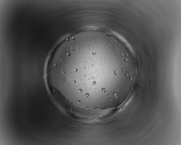 X0000087611042200705181251