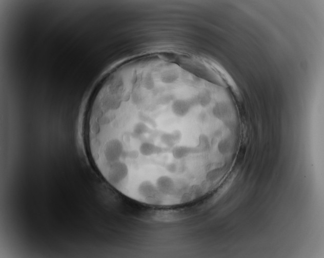 X0000087611043200705181251
