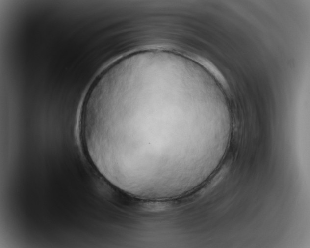 X0000087611044200705181251