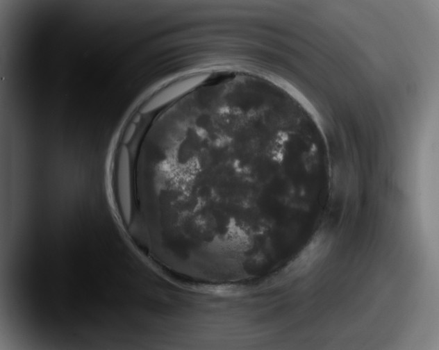 X0000087611045200705181251