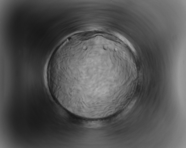 X0000087611047200705181251