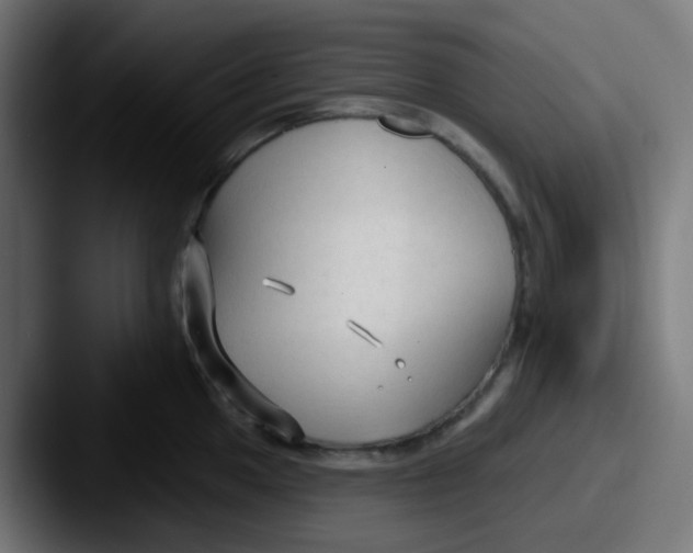 X0000087611049200705181251