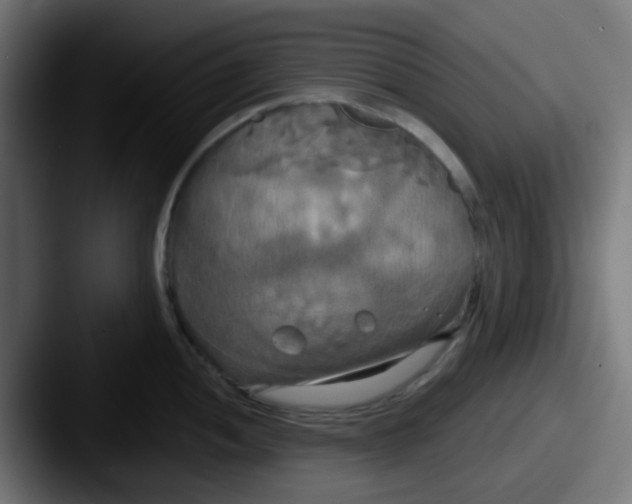 X0000087611052200705181252