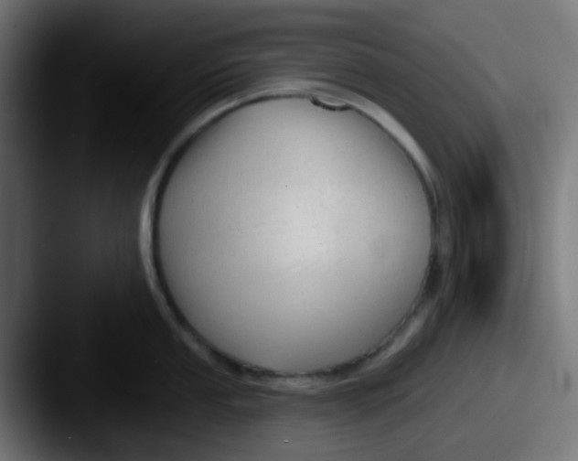 X0000087611053200705181252