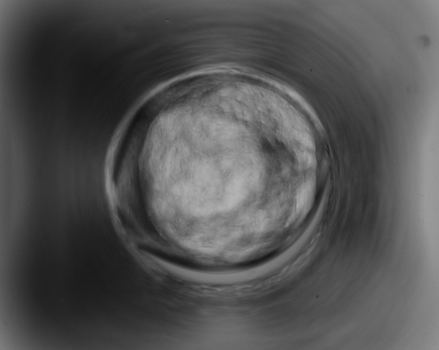 X0000087611054200705181252