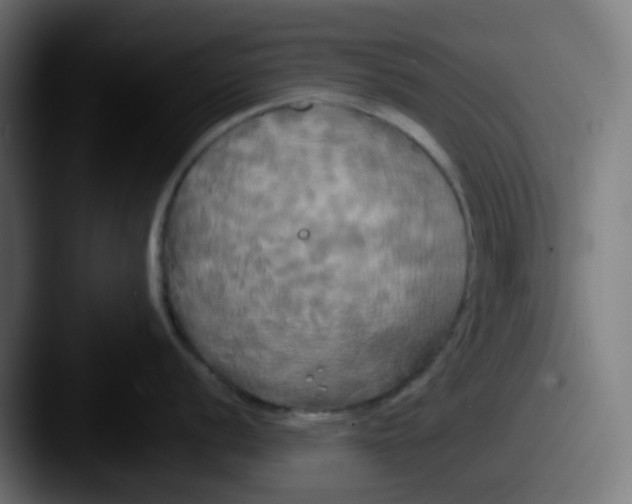 X0000087611056200705181252