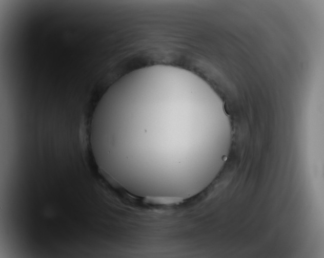 X0000087611058200705181251