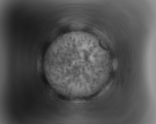 X0000087611059200705181251