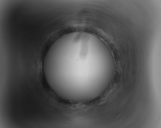 X0000087611061200705181251