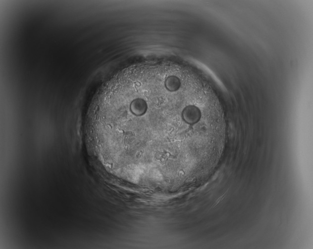 X0000087611063200705181251