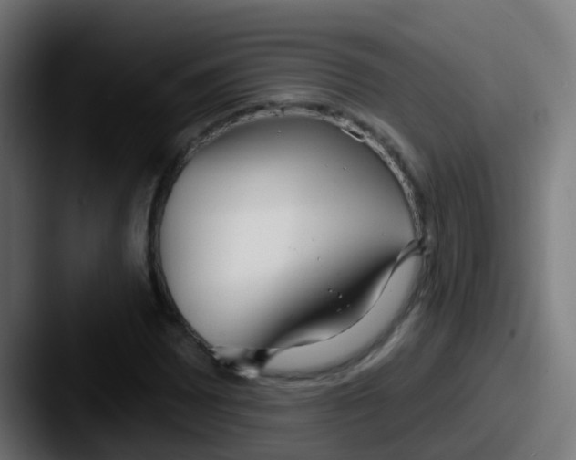 X0000087611065200705181251