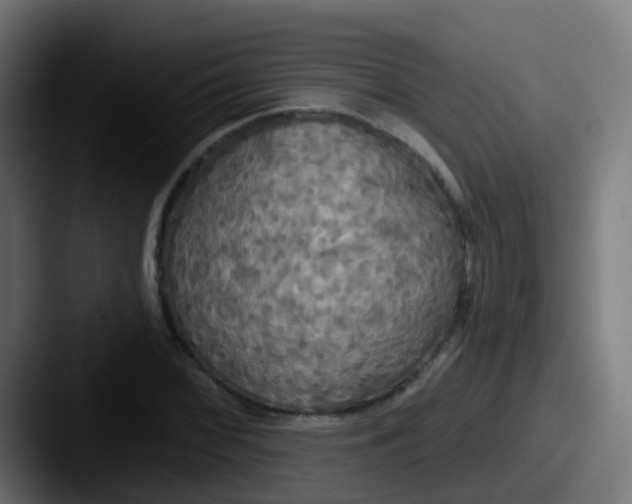 X0000087611068200705181251