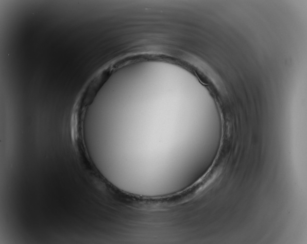 X0000087611069200705181251