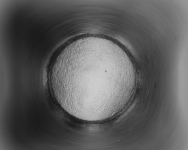 X0000087611070200705181251