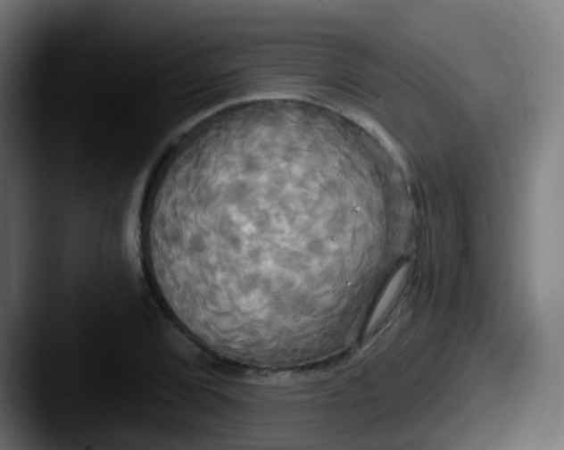 X0000087611072200705181251