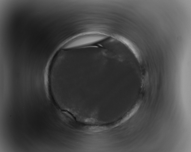 X0000087611077200705181251