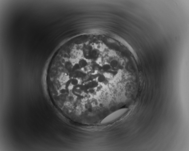 X0000087611091200705181251