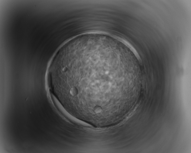 X0000087611092200705181251