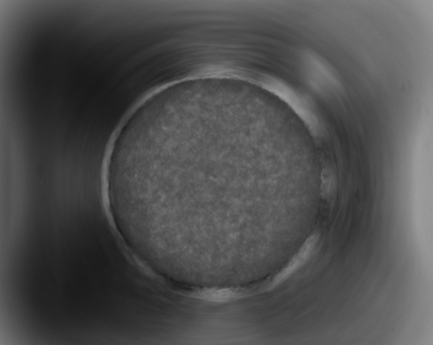 X0000087611094200705181251