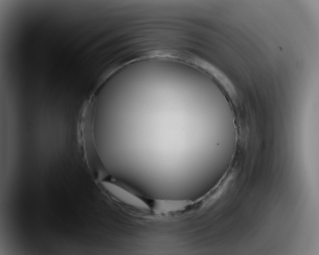 X0000087611097200705181251