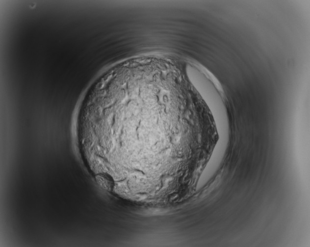 X0000087611099200705181251