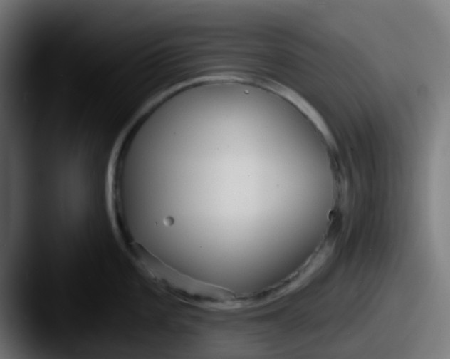 X0000087611101200705181251