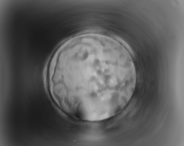 X0000087611103200705181250