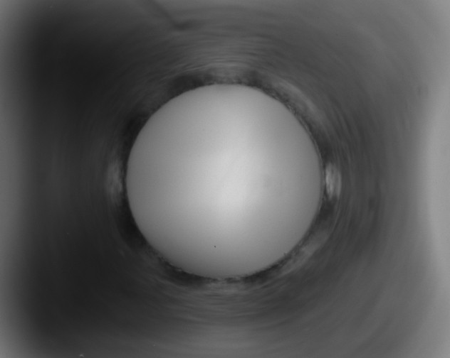 X0000087611107200705181250