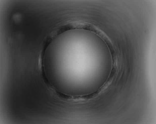 X0000087611108200705181250