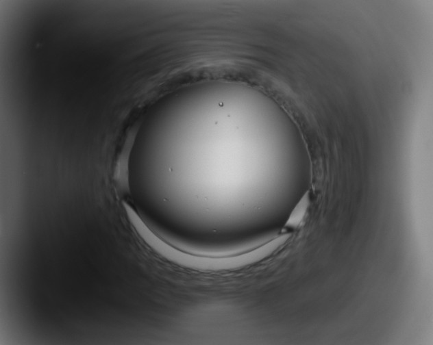 X0000087611109200705181250