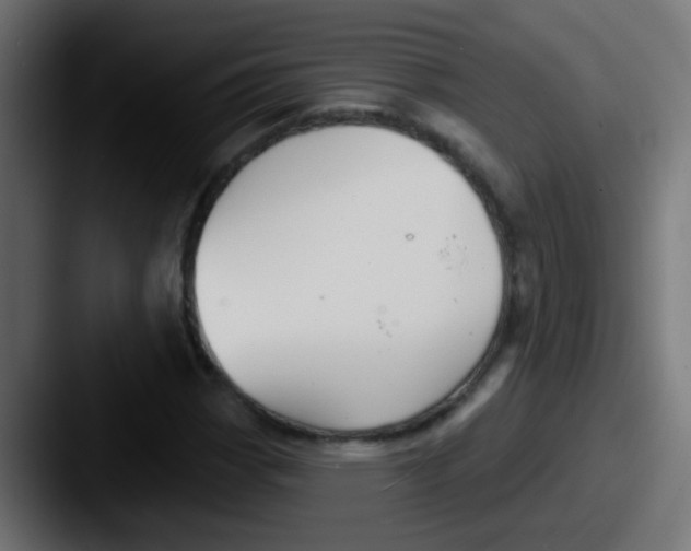 X0000087611113200705181250