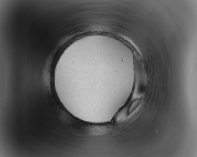 X0000087611115200705181250